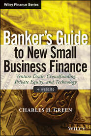 Banker\'s Guide to New Small Business Finance. Venture Deals, Crowdfunding, Private Equity, and Technology