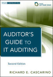 Auditor\'s Guide to IT Auditing