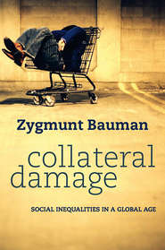 Collateral Damage. Social Inequalities in a Global Age