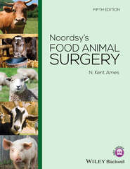Noordsy\'s Food Animal Surgery