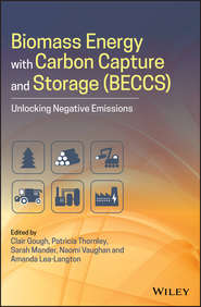 Biomass Energy with Carbon Capture and Storage (BECCS)