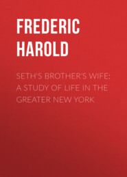 Seth\'s Brother\'s Wife: A Study of Life in the Greater New York