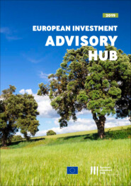 European Investment Bank Annual Report 2019 on the European Investment Advisory Hub