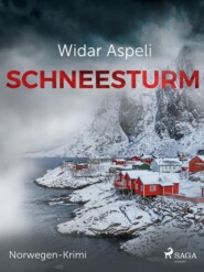 Schneesturm - Norwegen-Krimi