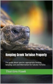 Keeping Greek Tortoise Properly