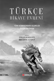 Türkçe Hikâye Evreni: Özgün Metinler