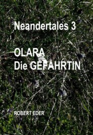 Neandertales 3