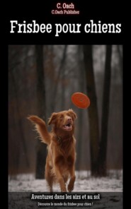 Frisbee pour chiens