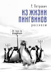 10 удивительных фактов о пингвинах