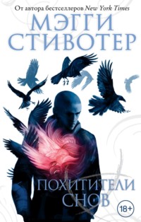 Читать онлайн «Похитители снов», Мэгги Стивотер – Литрес, страница 6