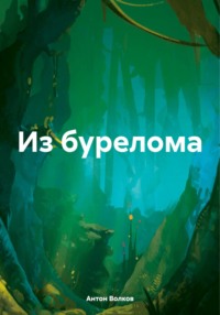 71038105 [Антон Волков] Из бурелома
