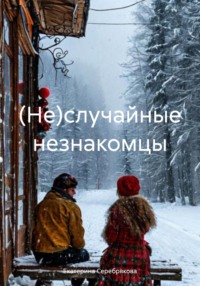 71406802 [Екатерина Серебрякова] (Не)случайные незнакомцы