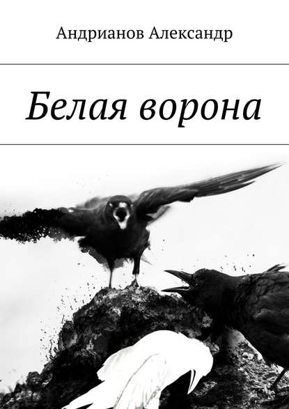 Александр Борисович Андрианов — Белая ворона