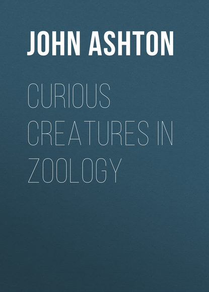 Ashton John — Curious Creatures in Zoology