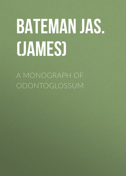 A Monograph of Odontoglossum (Bateman Jas. (James)). 