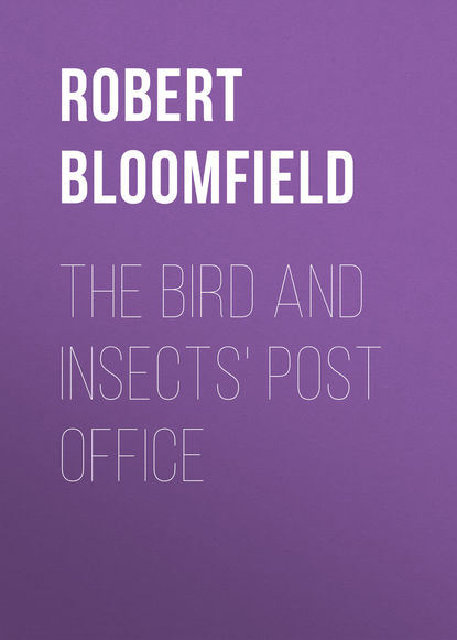 The Bird and Insects Post Office