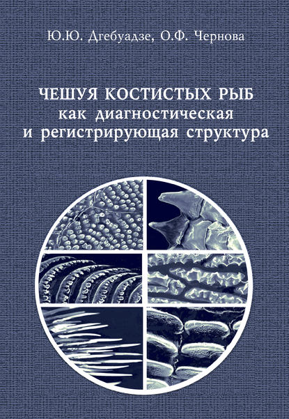 О. Ф. Чернова - Чешуя костистых рыб как диагностическая и регистрирующая структура