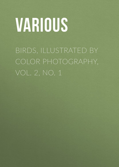 Birds, Illustrated by Color Photography, Vol. 2, No. 1 - Various
