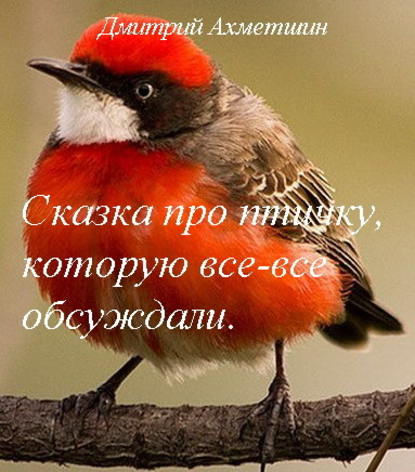 Дмитрий Ахметшин — Сказка про птичку, которую все-все обсуждали