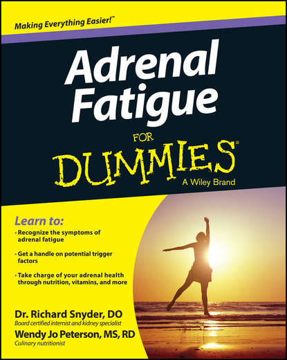 Richard Snyder — Adrenal Fatigue For Dummies