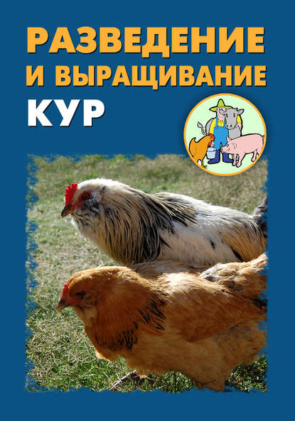 Илья Мельников — Разведение и выращивание кур