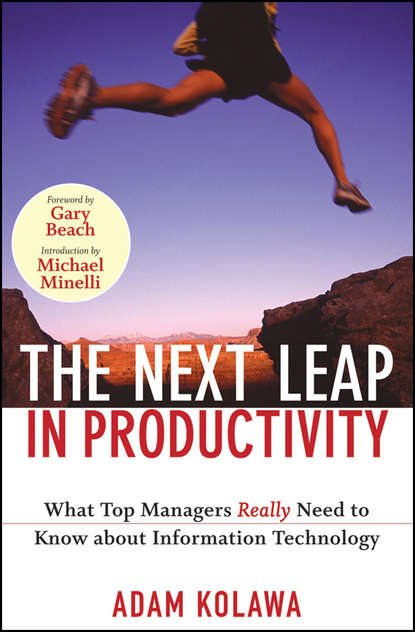Adam  Kolawa - The Next Leap in Productivity. What Top Managers Really Need to Know about Information Technology