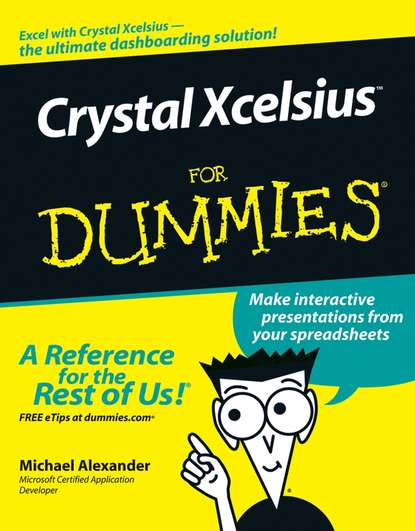 Michael  Alexander - Crystal Xcelsius For Dummies