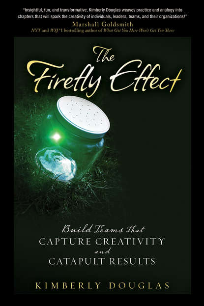 Kimberly  Douglas - The Firefly Effect. Build Teams That Capture Creativity and Catapult Results