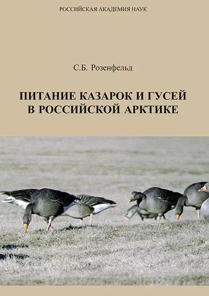 Обложка книги Питание казарок и гусей в Российской Арктике, С. Б. Розенфельд