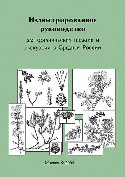 Владимир Скворцов — Иллюстрированное руководство для ботанических практик и экскурсий в Средней России