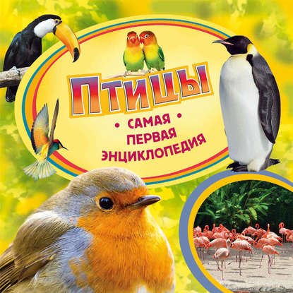 Ирина Травина — Птицы