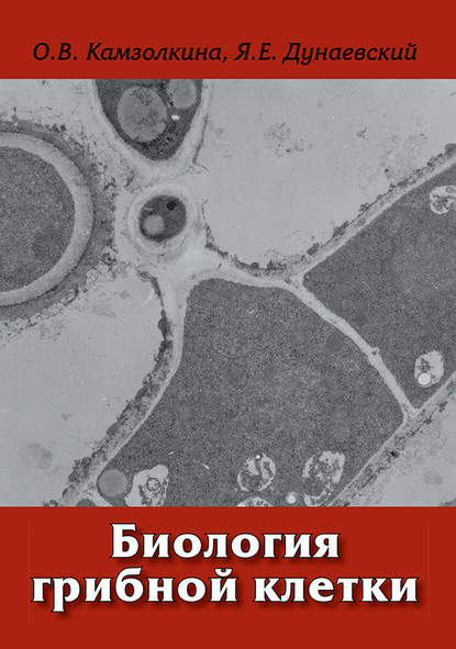 Биология грибной клетки - О. В. Камзолкина