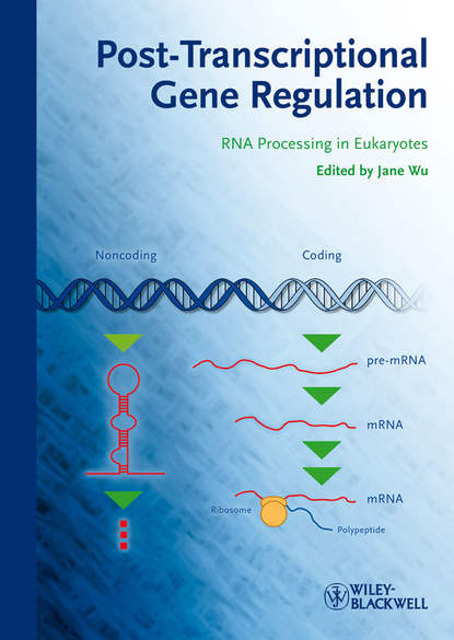 Post-Transcriptional Gene Regulation. RNA Processing in Eukaryotes (Jane  Wu). 