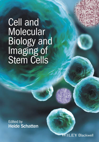 Cell and Molecular Biology and Imaging of Stem Cells (Heide  Schatten). 