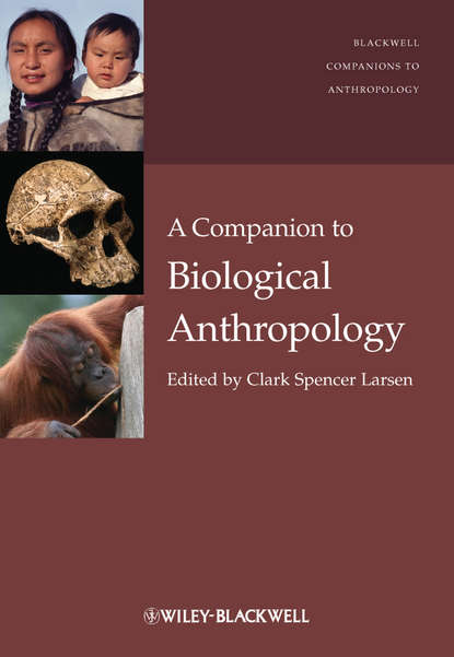 Clark Larsen Spencer — A Companion to Biological Anthropology