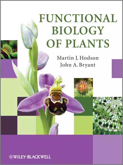 Обложка книги Functional Biology of Plants, John A. Bryant