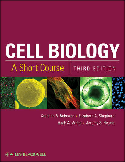 Stephen R. Bolsover - Cell Biology