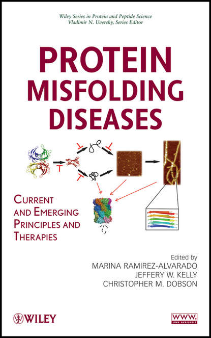 Группа авторов - Protein Misfolding Diseases