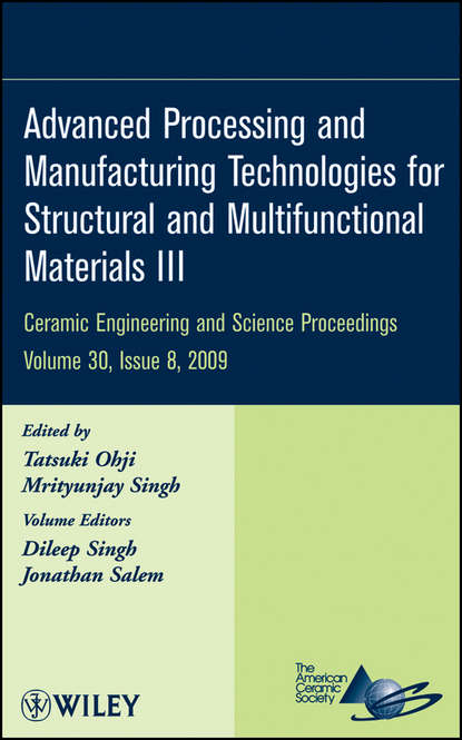 Группа авторов - Advanced Processing and Manufacturing Technologies for Structural and Multifunctional Materials III