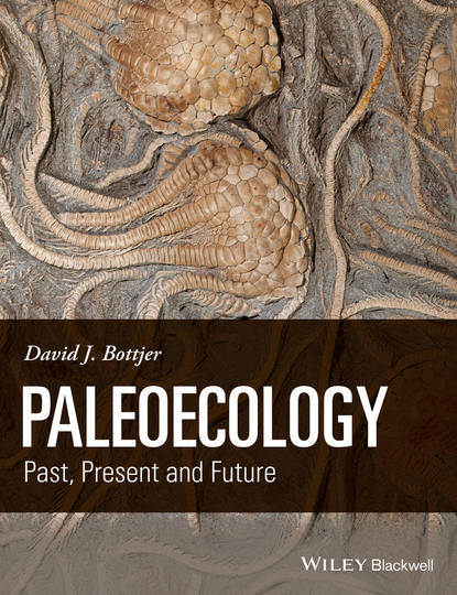 Paleoecology