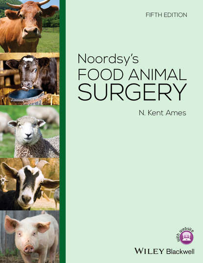 Noordsy's Food Animal Surgery