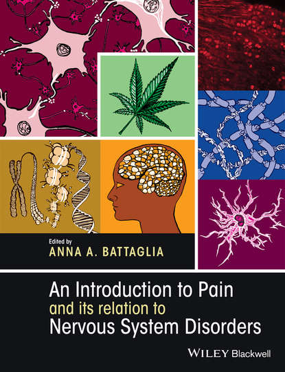 Группа авторов - An Introduction to Pain and its relation to Nervous System Disorders