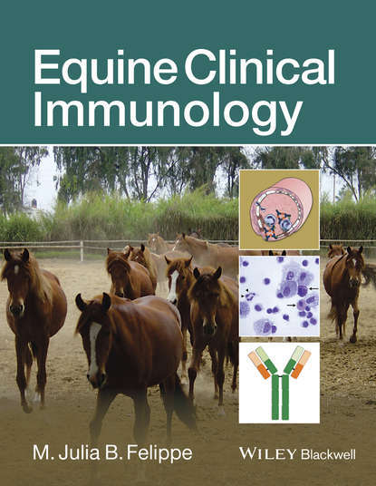 Группа авторов - Equine Clinical Immunology