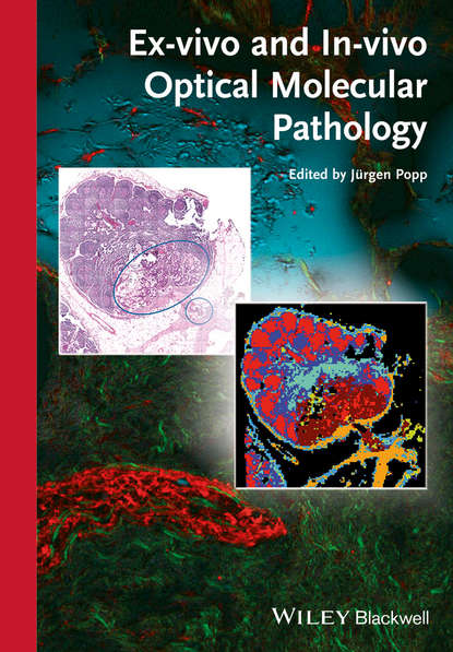 Группа авторов - Ex-vivo and In-vivo Optical Molecular Pathology