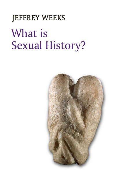 What is Sexual History? - Jeffrey  Weeks