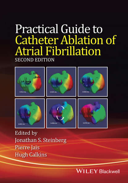 Practical Guide to Catheter Ablation of Atrial Fibrillation - Jonathan S. Steinberg