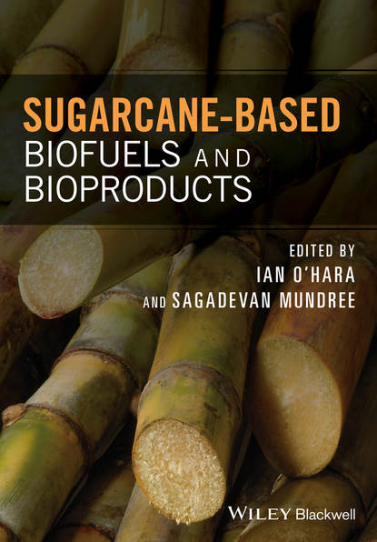 Sugarcane-based Biofuels and Bioproducts - Группа авторов