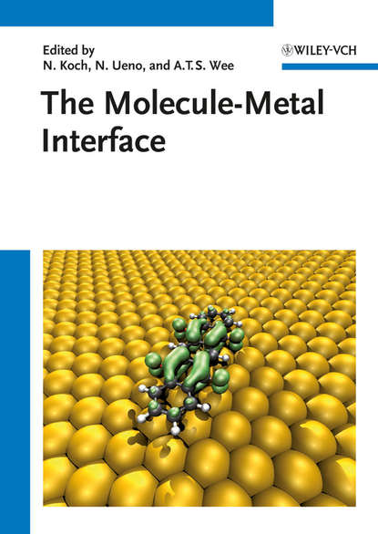 Группа авторов - The Molecule-Metal Interface