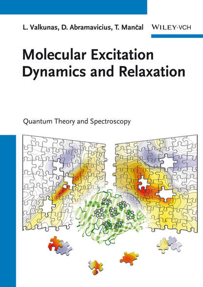 Tomás Mancal - Molecular Excitation Dynamics and Relaxation