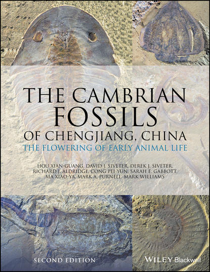 Марк Уильямс — The Cambrian Fossils of Chengjiang, China